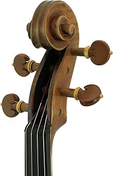 Amazon.com: D'Luca JS900VA Antique Full Size Viola : Musical